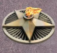 Вечный огонь нержавеющая сталь решётка в Троицке (518546)